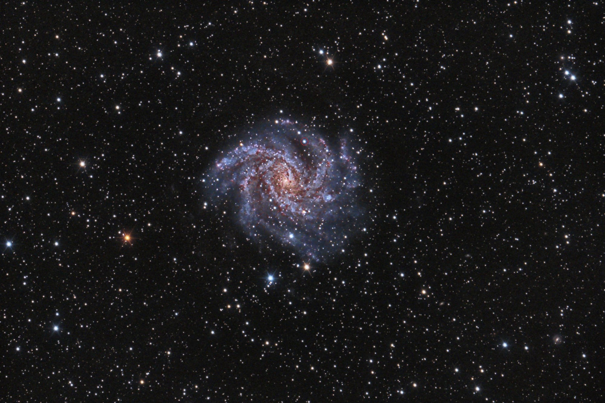    NGC 6946 