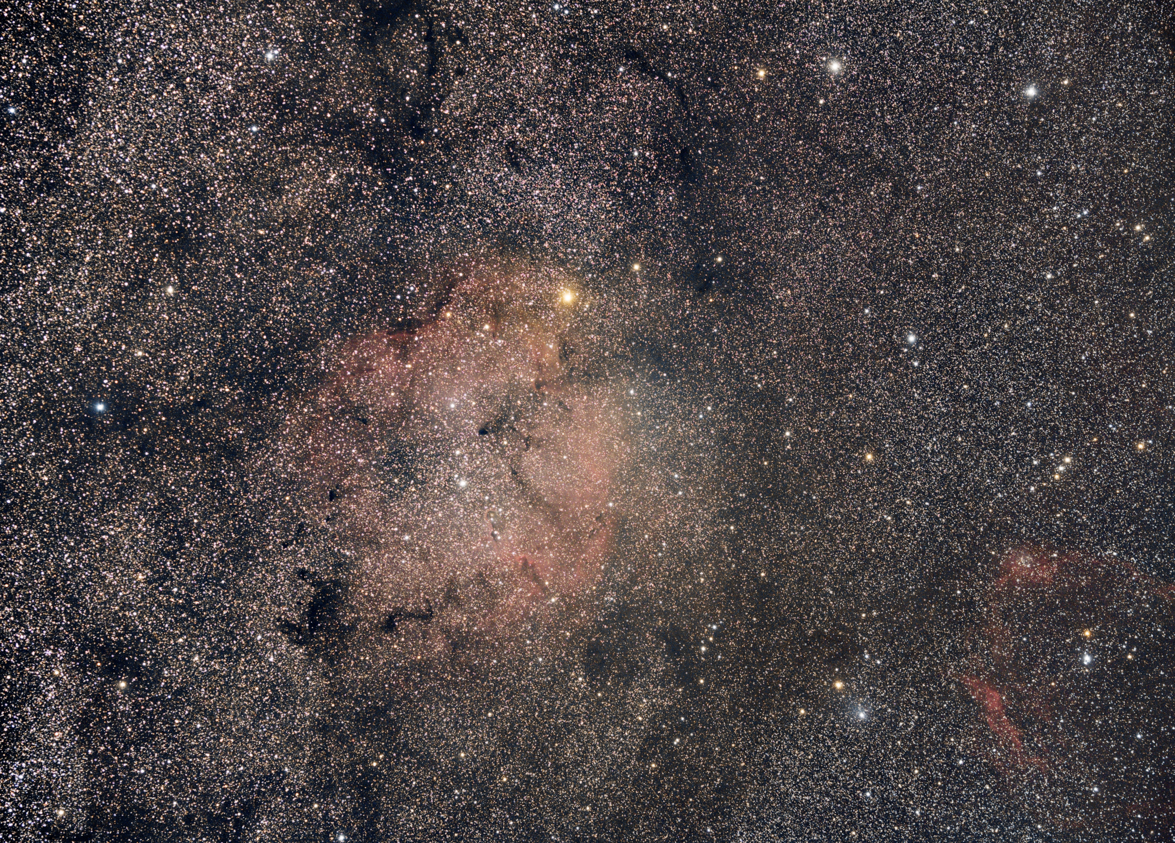 Elephant's Trunk Nebula  IC 1396