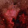 NGC 7000
