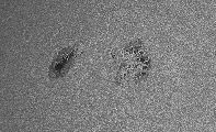 2025-09-21-0814_6-U-L-Sun_lapl5_ap2329.jpg