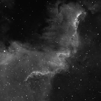 NGC 7000 ()