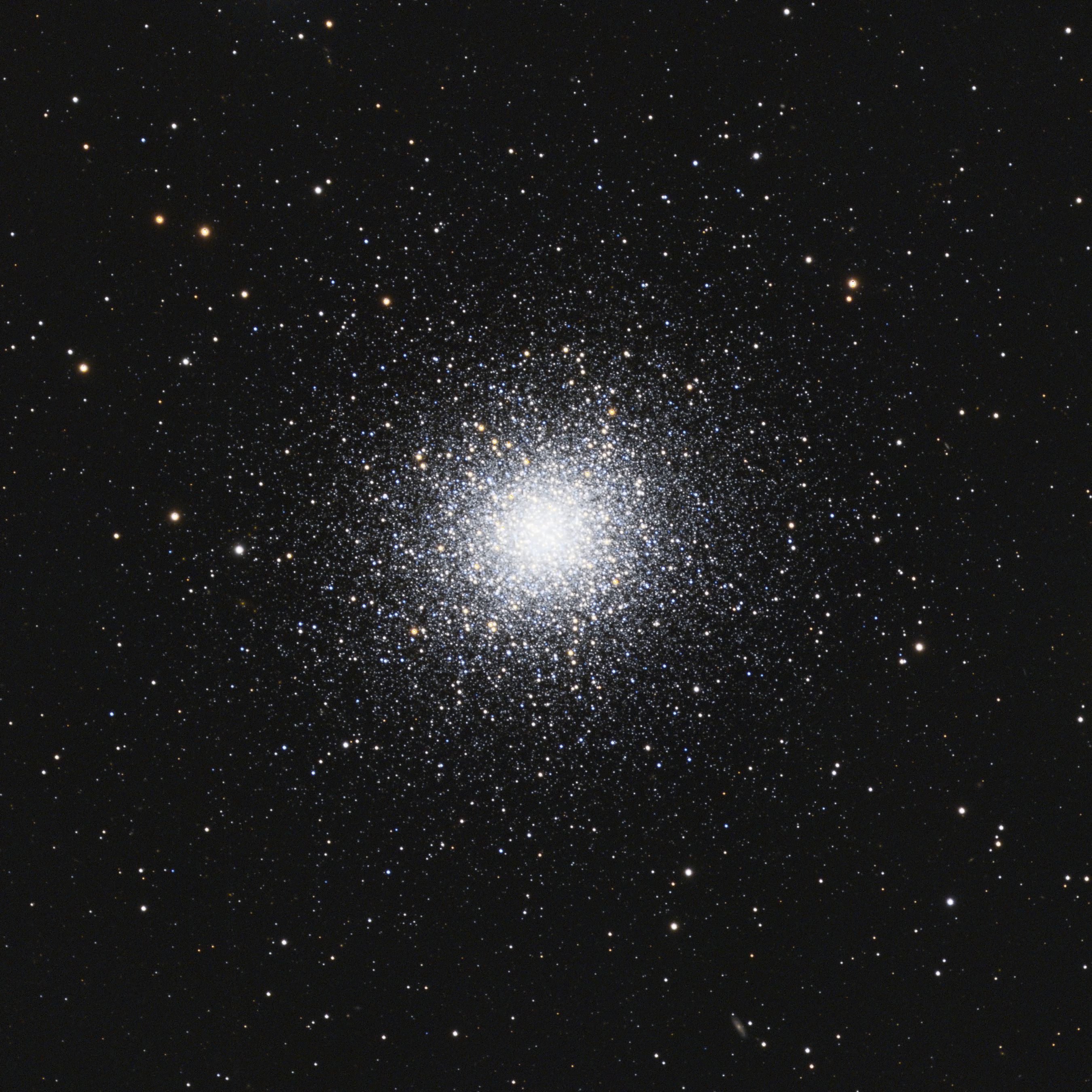 M13