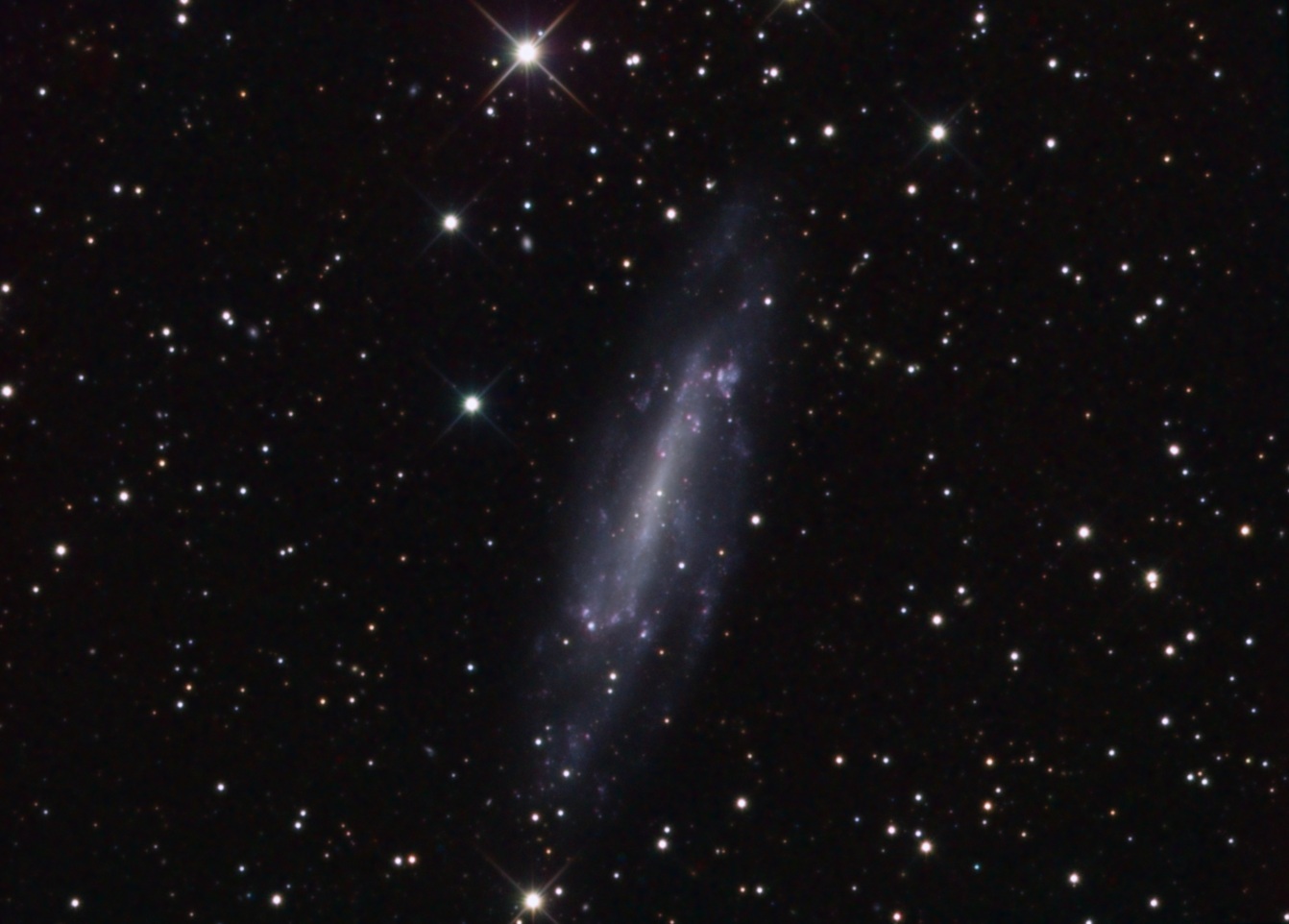 NGC4236 ( )