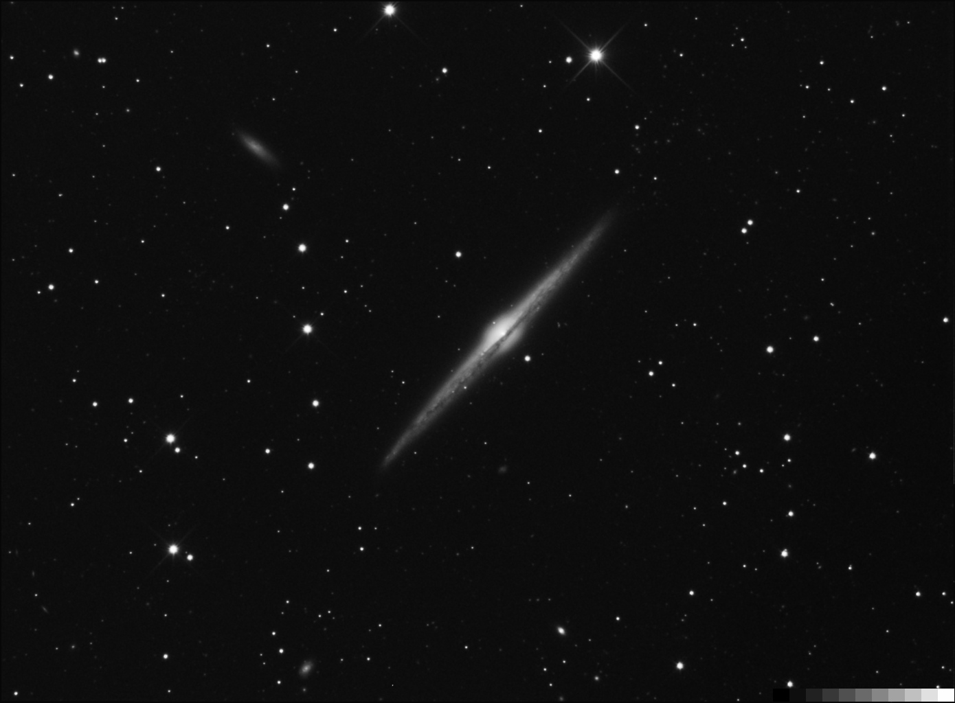 NGC 4565