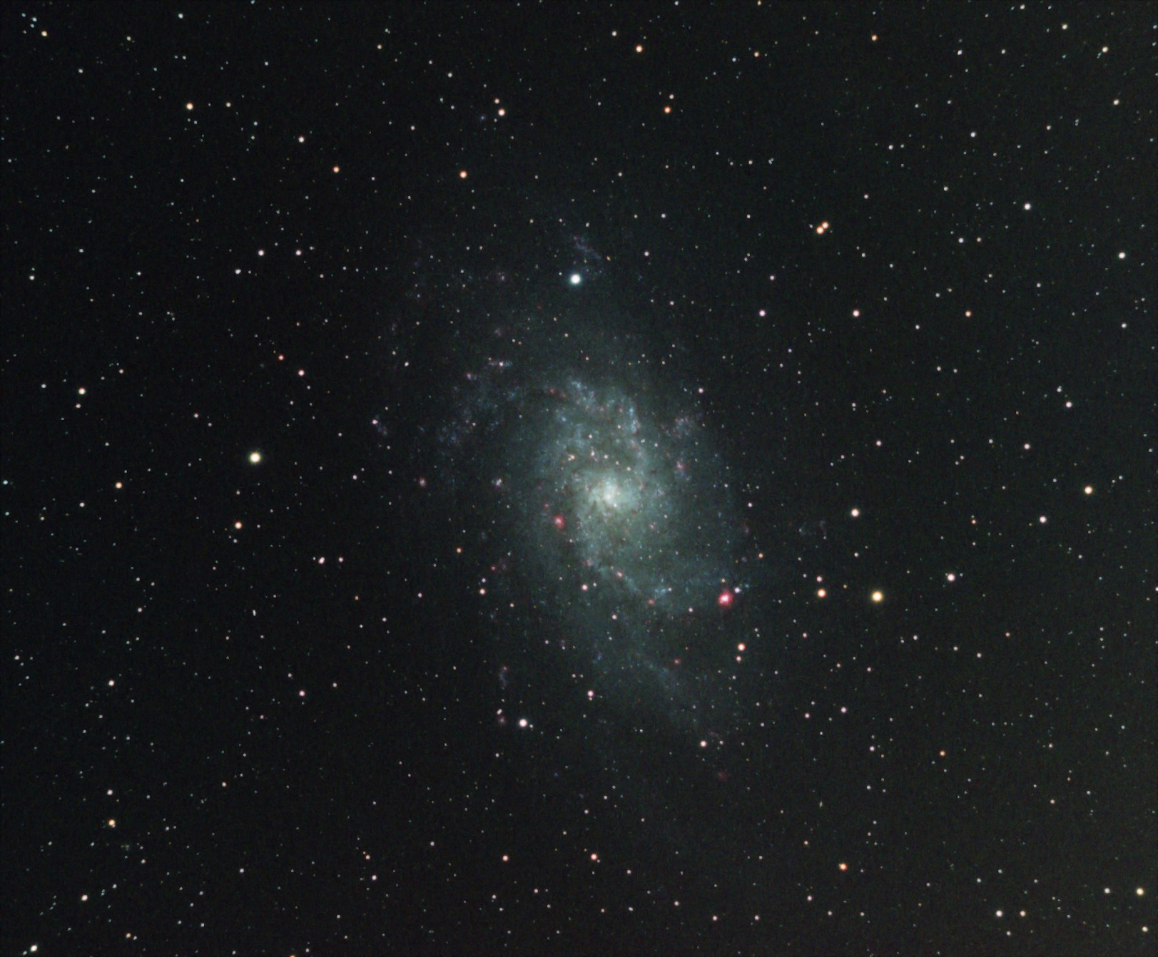 M33 in Ha L R G B