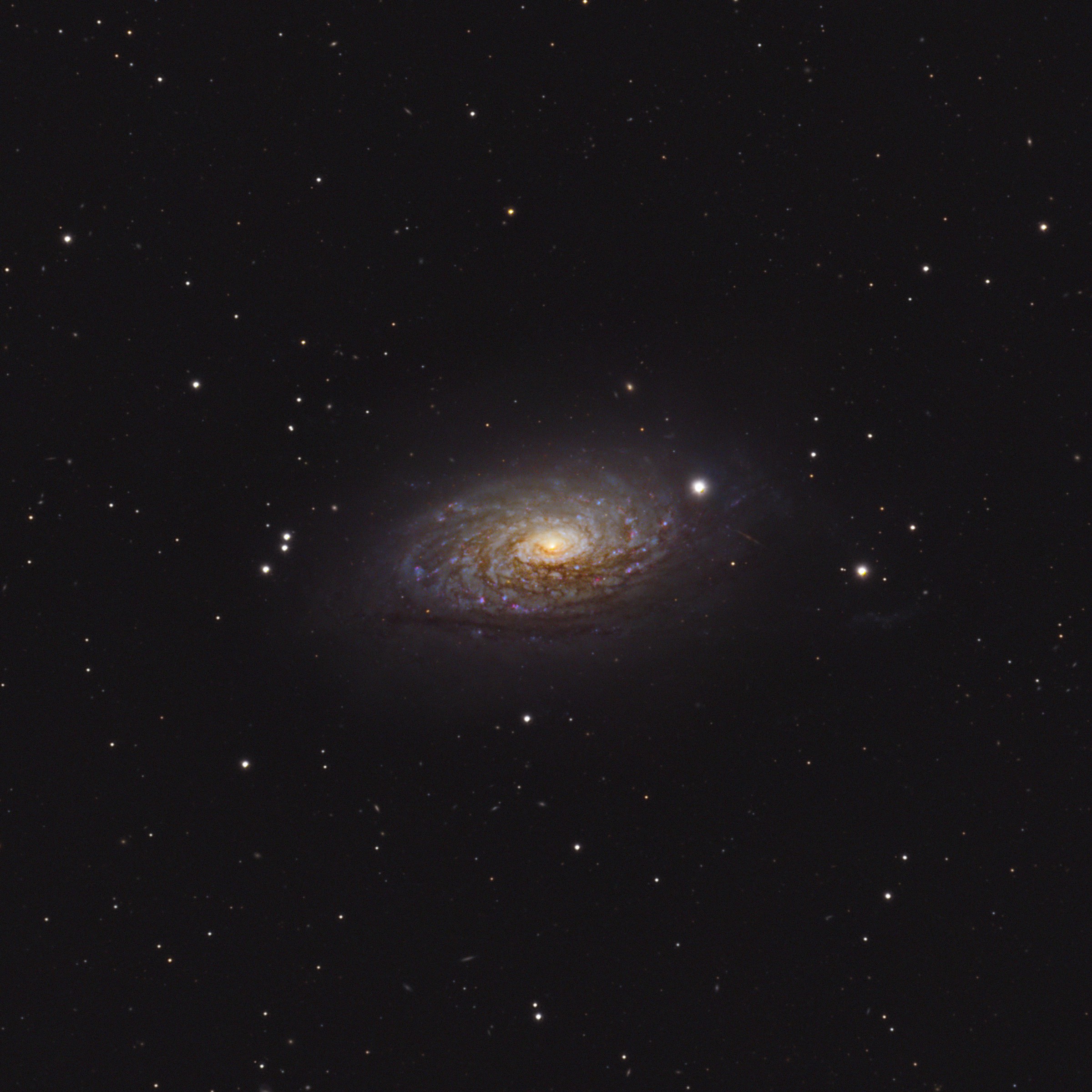 M63