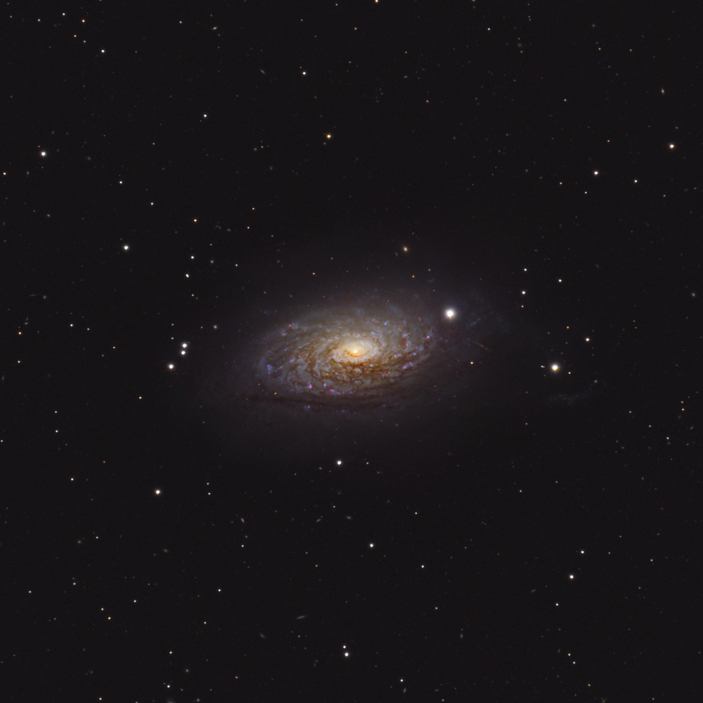 M63