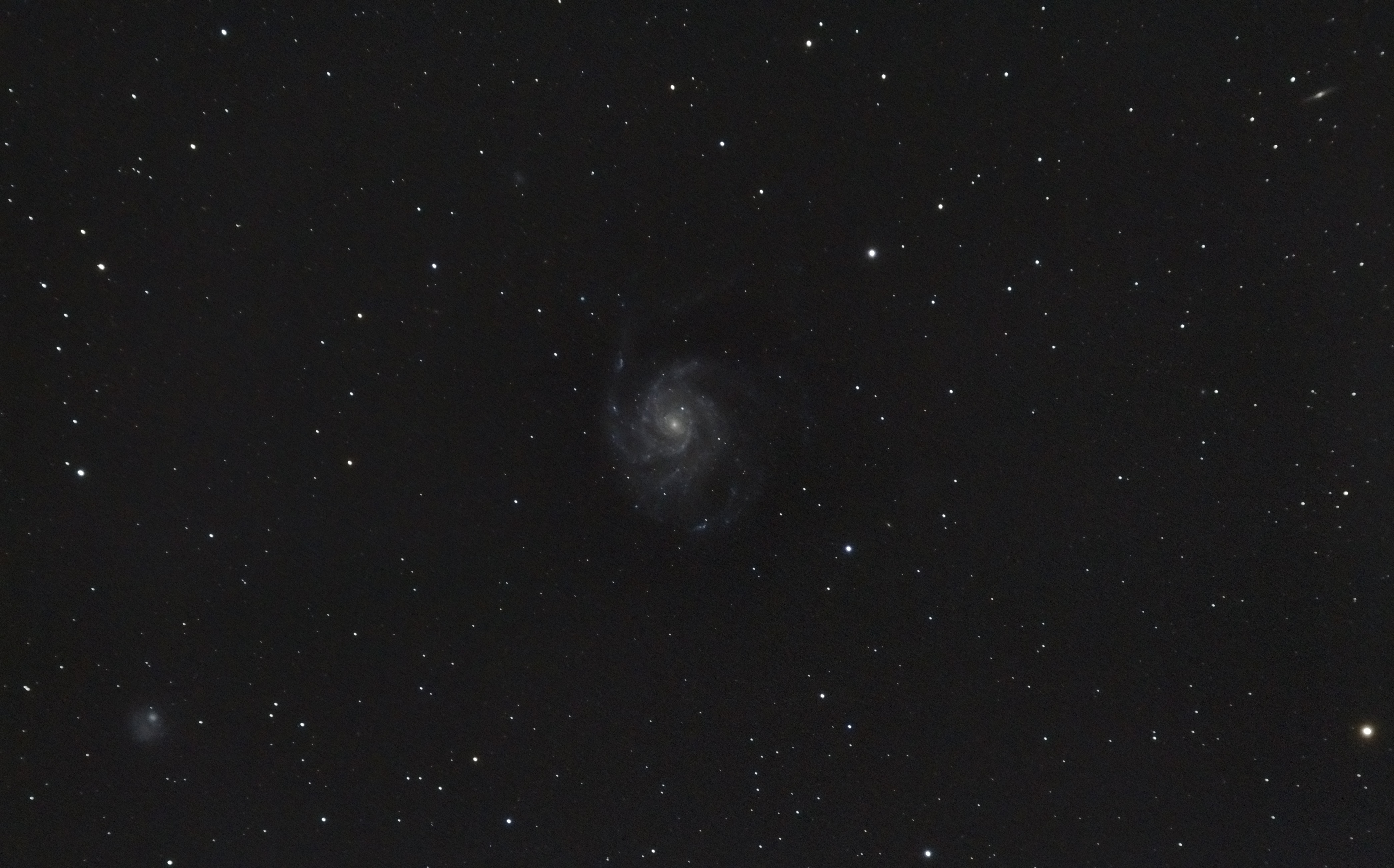 M 101