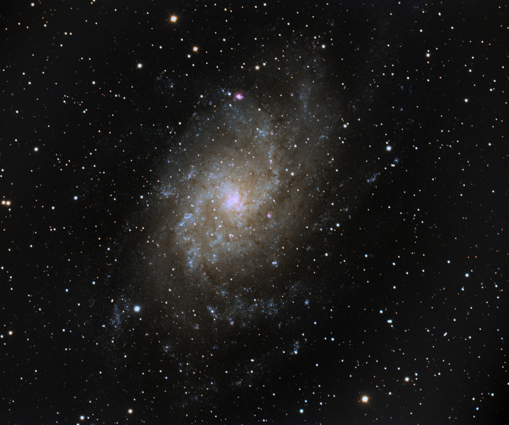 M33