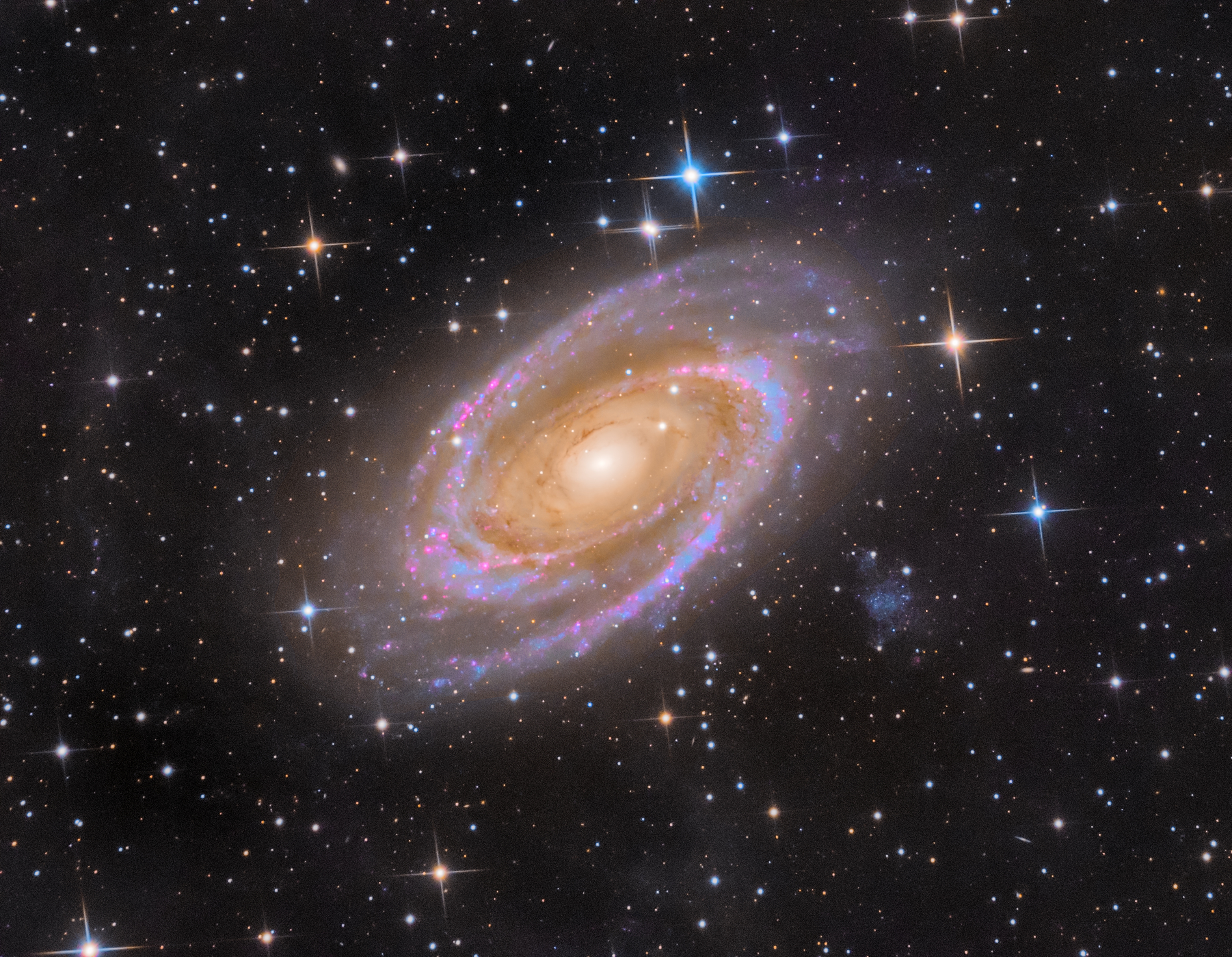 M 81