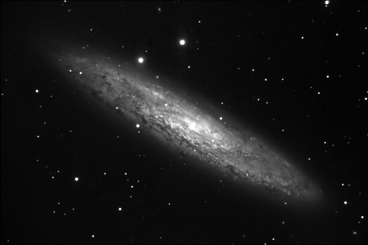 NGC 253