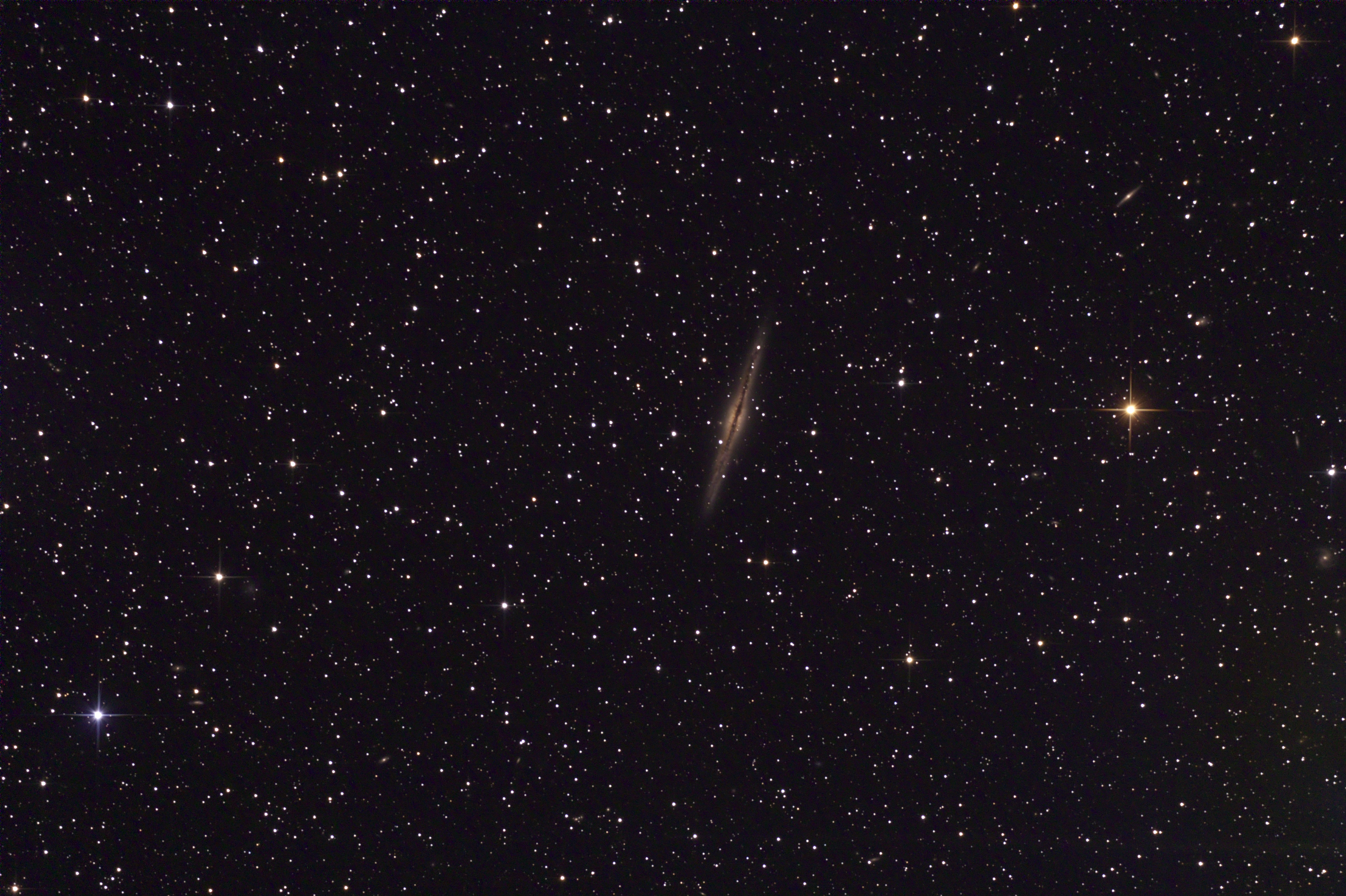 NGC 891
