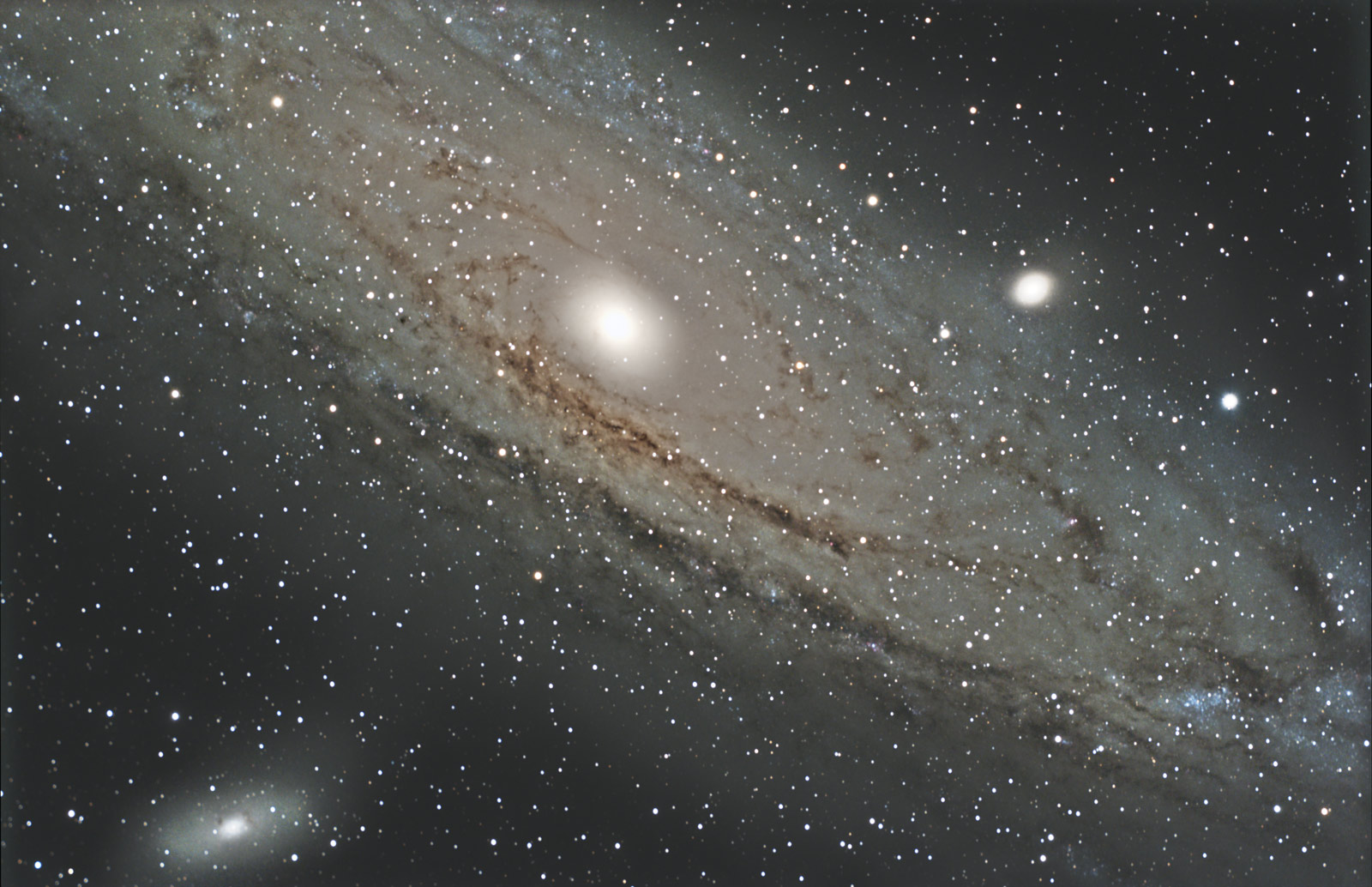   M31