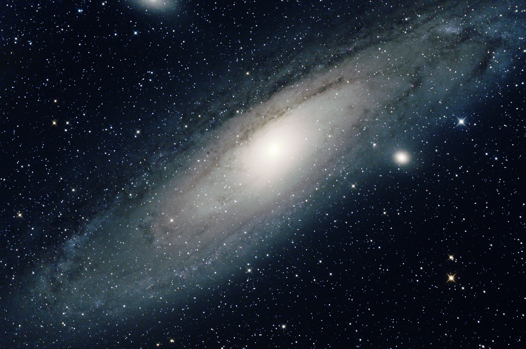 M31