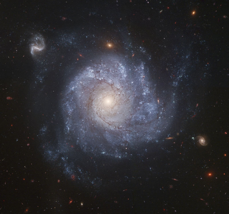 NGC 1309