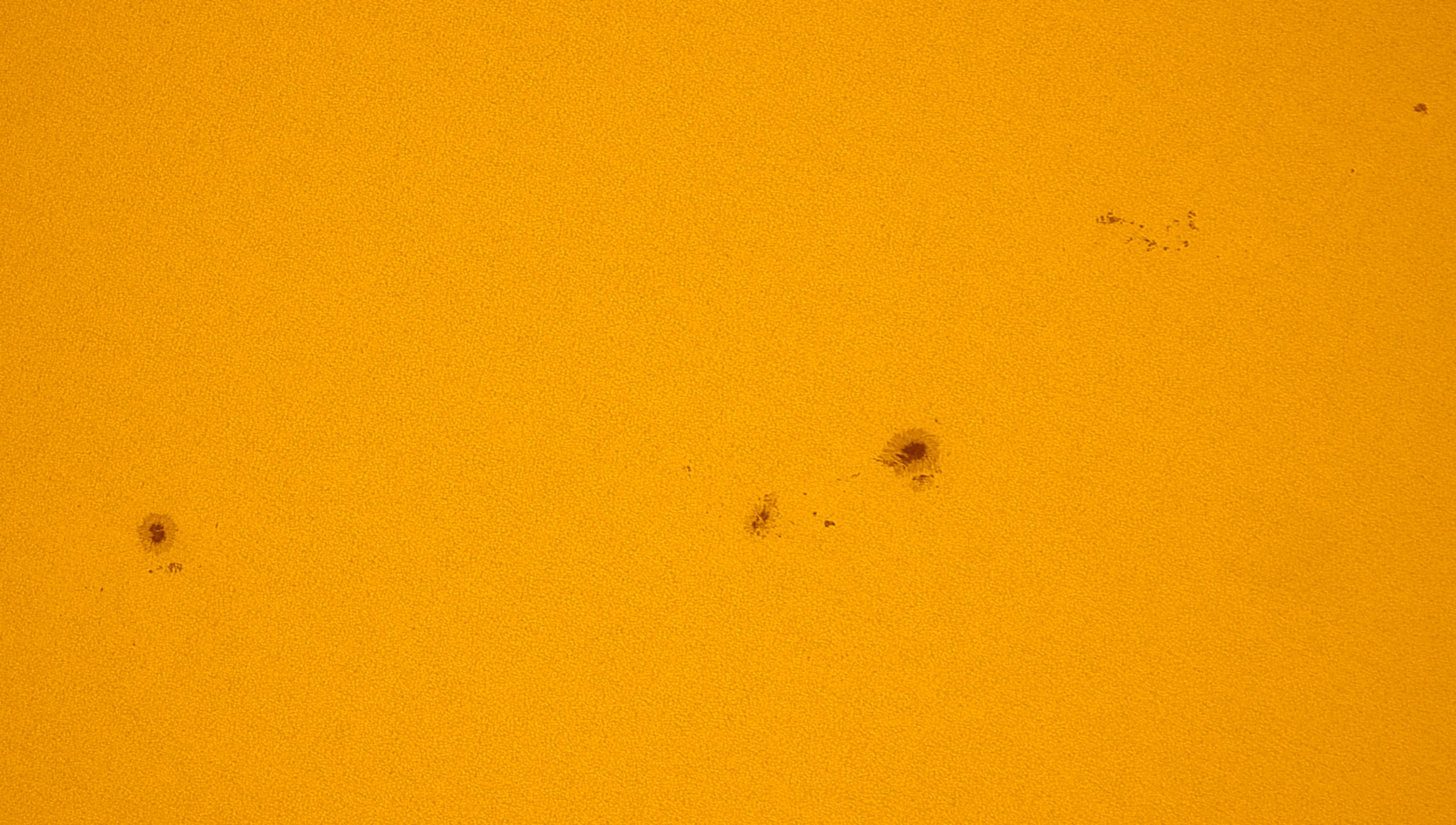 15.08.2026