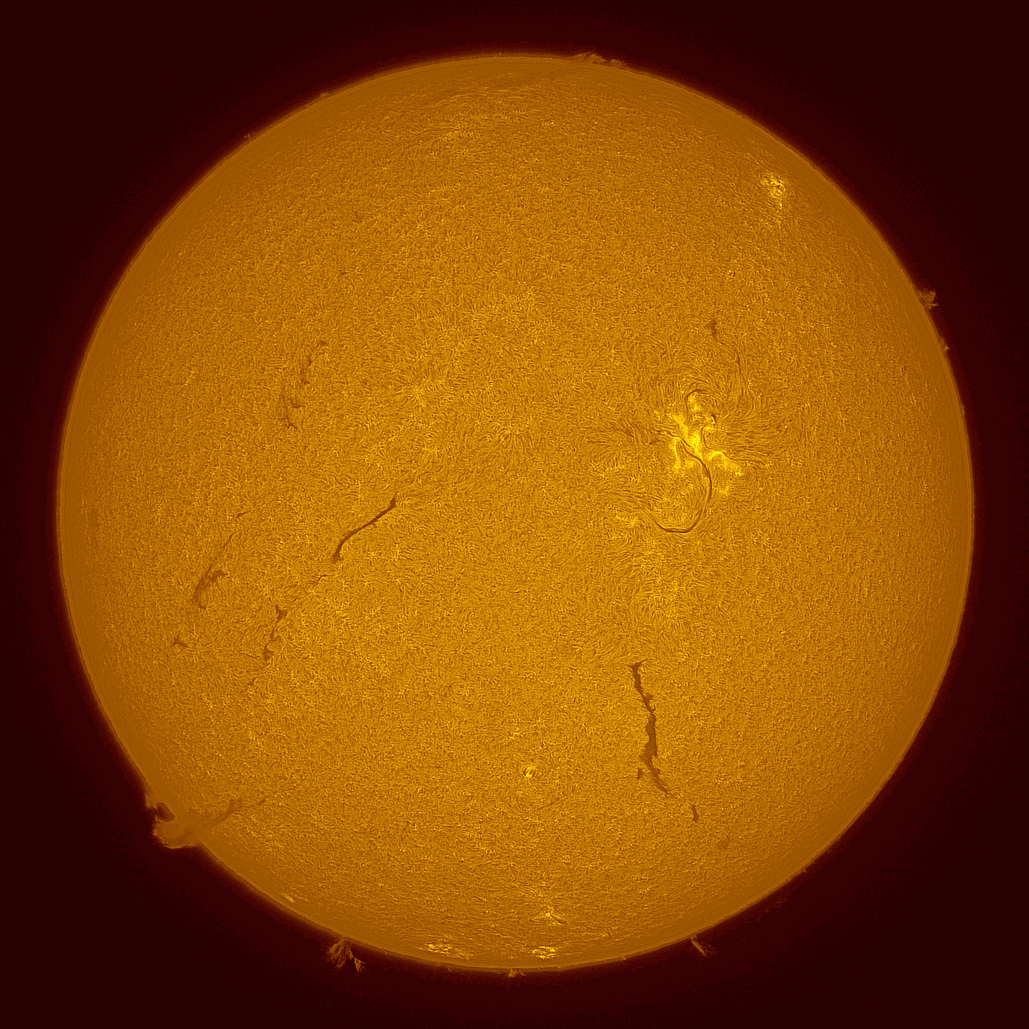 2026-05-16_Sun in h-alpha animation