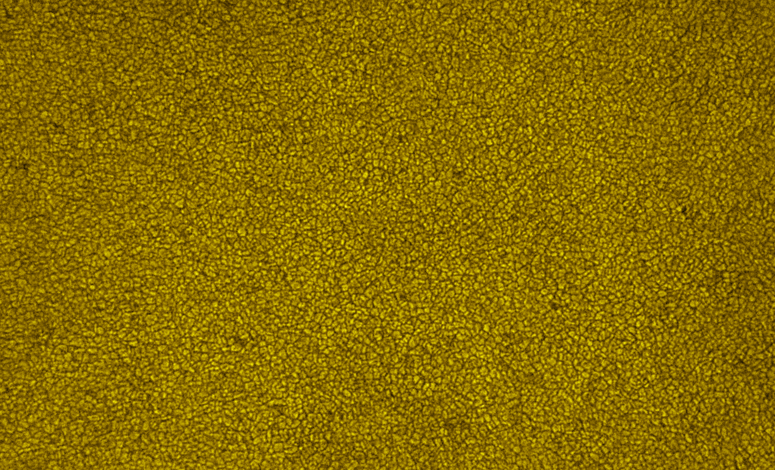 2025-09-06-0726_4-U-L-Sun_lapl5_ap2124_2_2colour.jpg