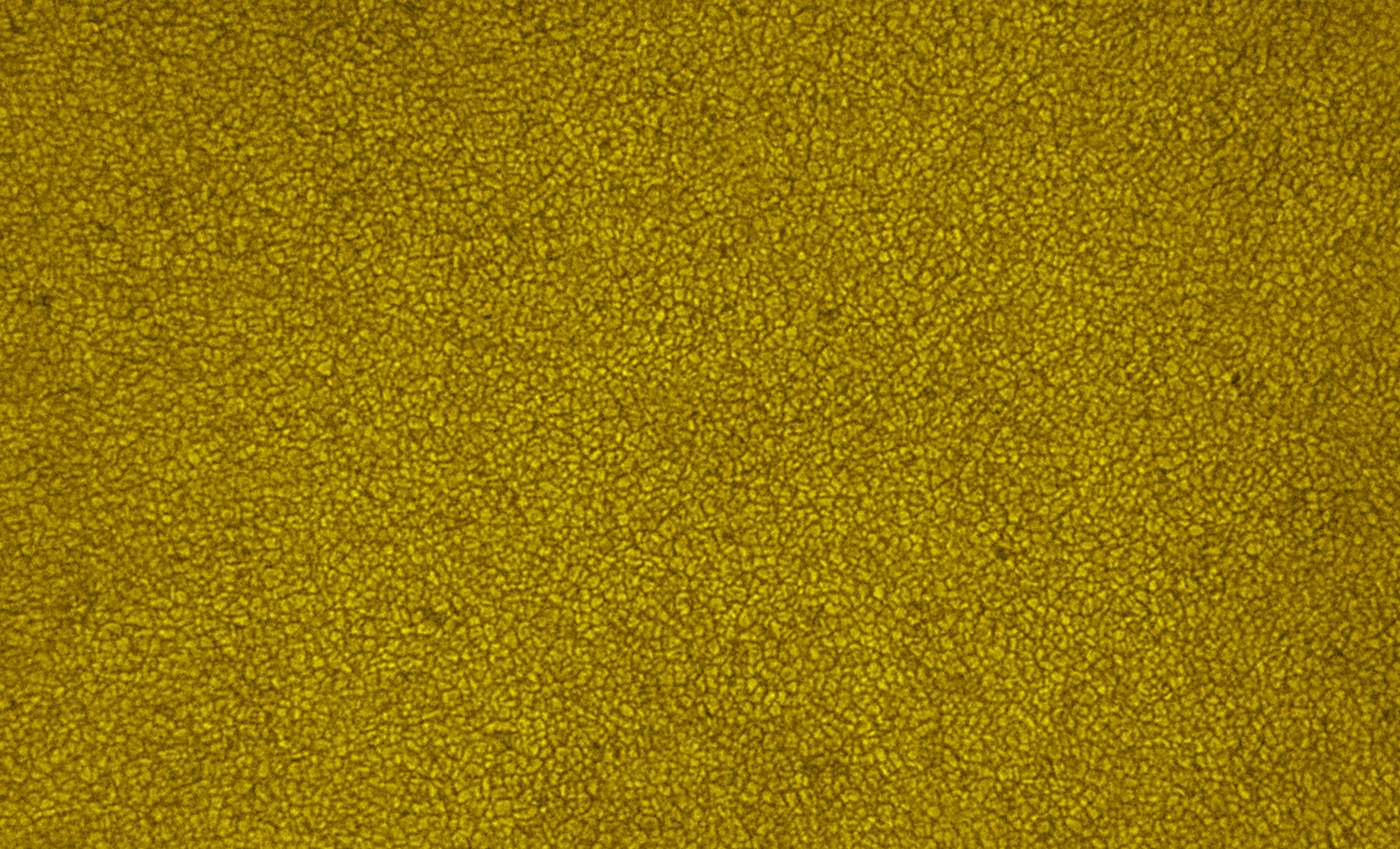 2025-09-06-0726_4-U-L-Sun_lapl5_ap2124_2_4colour.jpg