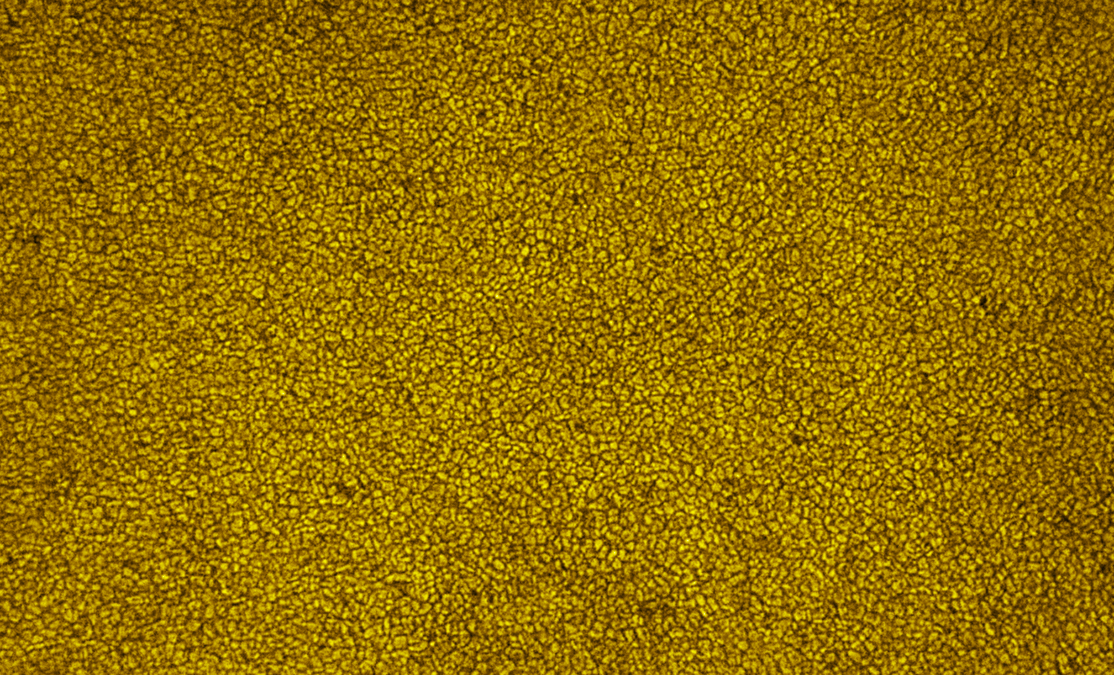2025-09-06-0726_4-U-L-Sun_lapl5_ap2124_2colour