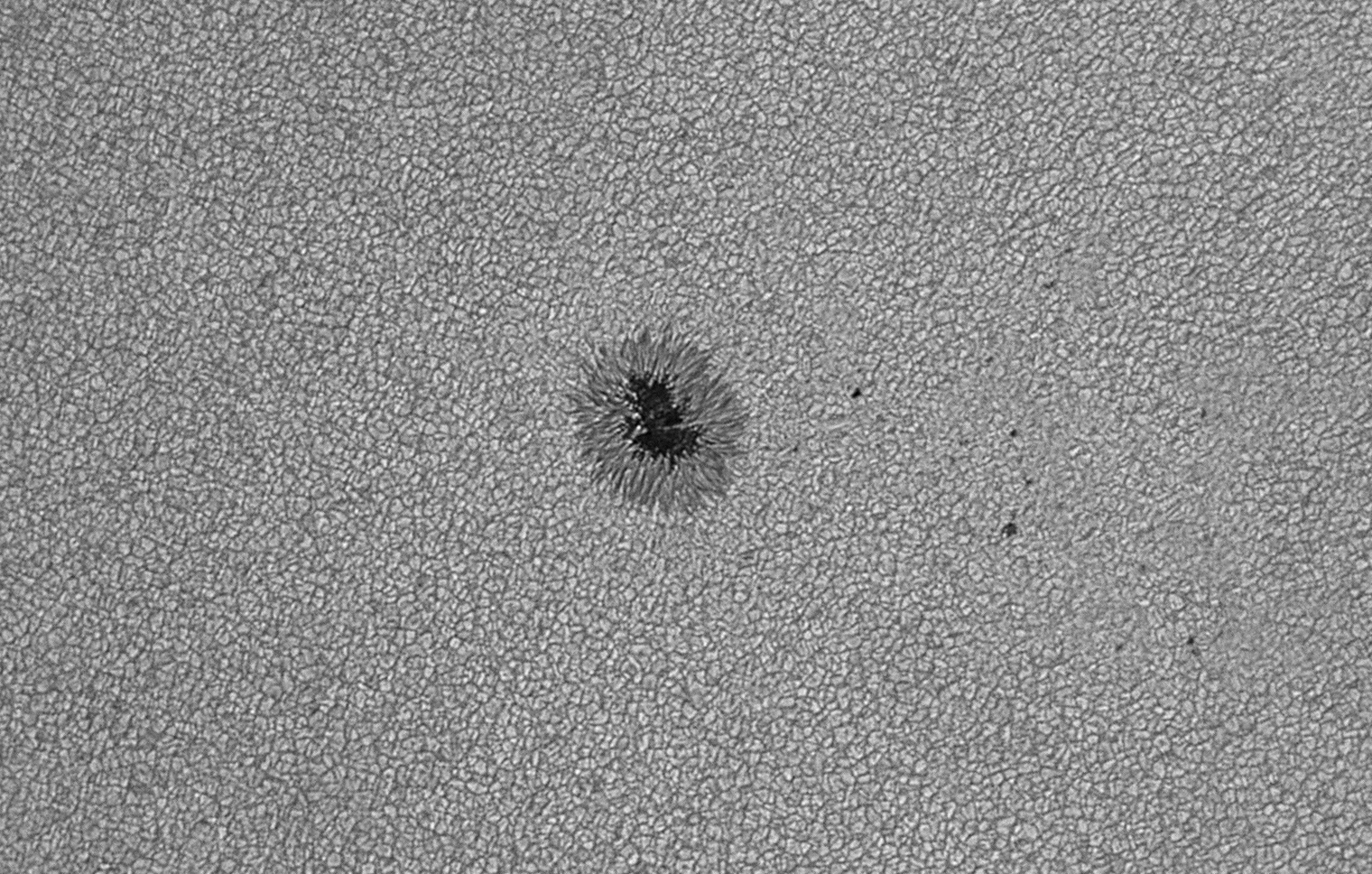 2025-09-21-0802_5-U-L-Sun_lapl5_ap2234.jpg