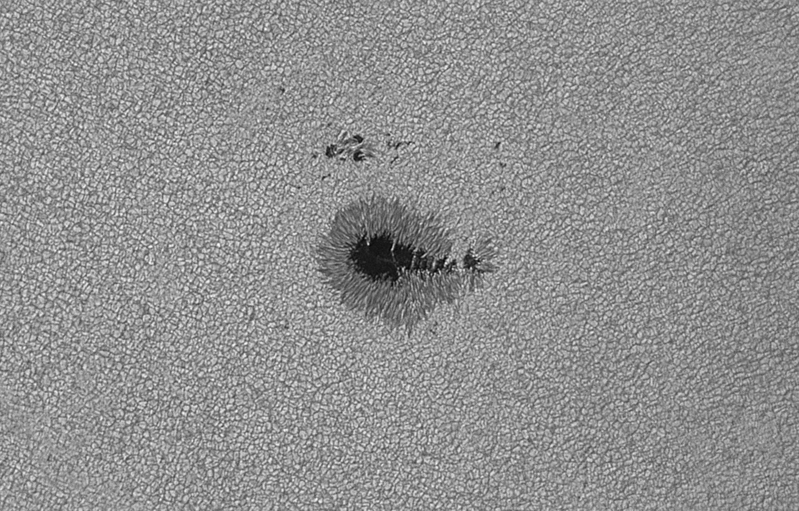 2025-09-21-0805_2-U-L-Sun_lapl5_ap2313.jpg