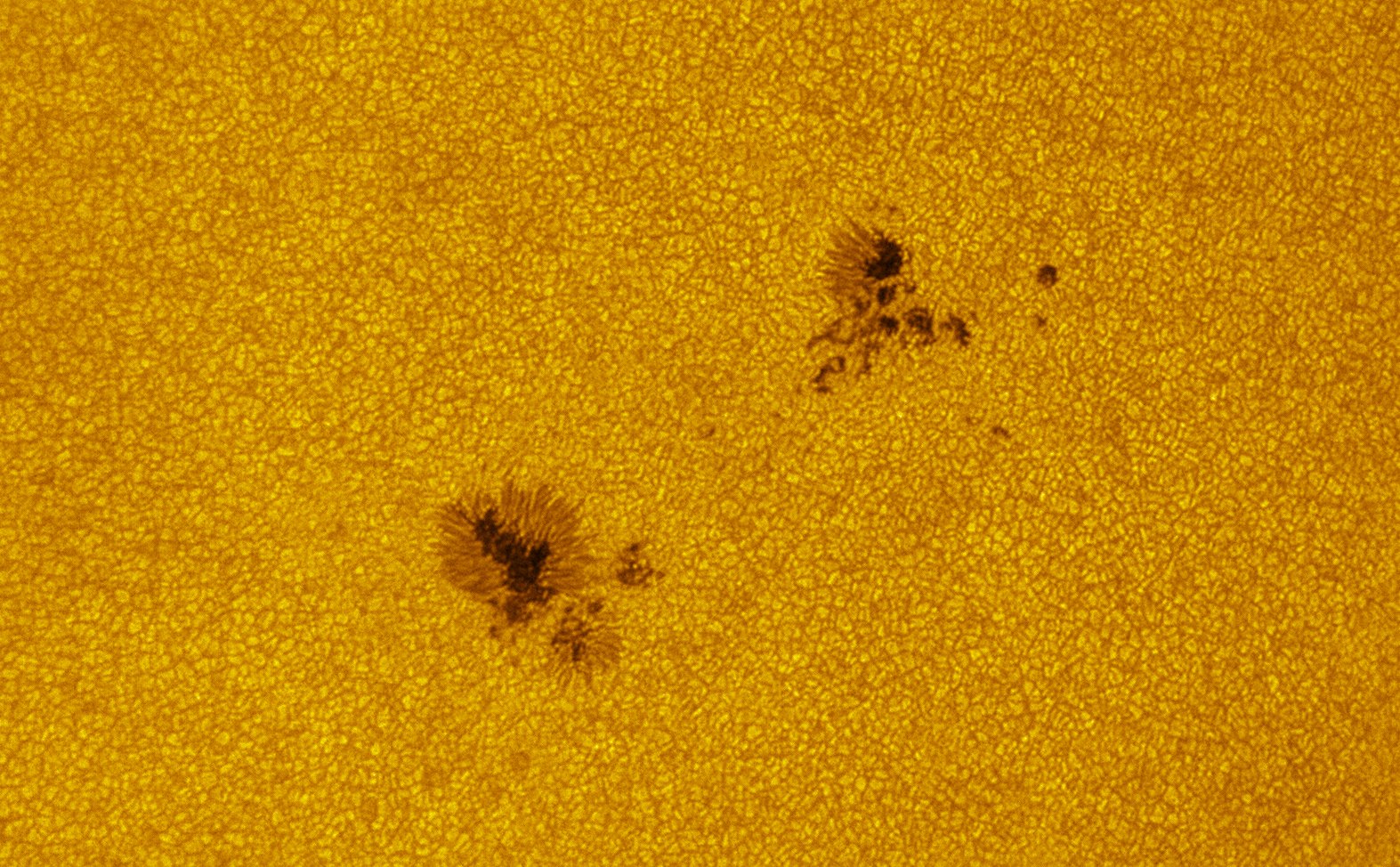 2026-08-04-0751_1-U-L-Sun_lapl3_ap3524_colour.jpg