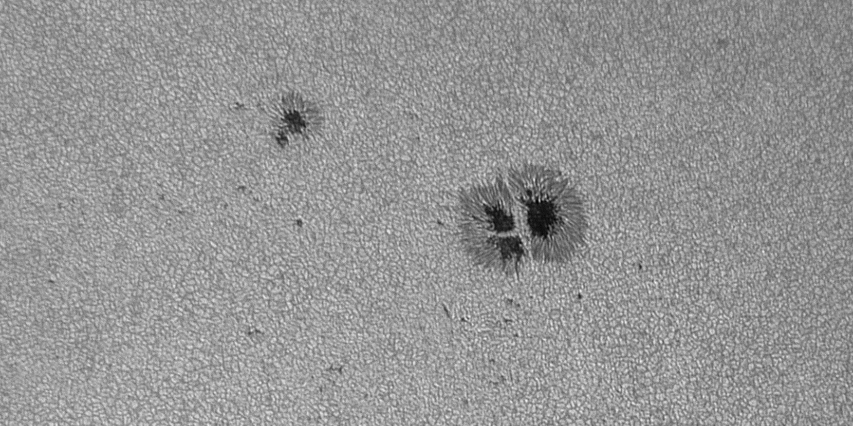 2026-08-05-0834_2-U-L-Sun_lapl3_ap3446_aligned_pipp_3.gif