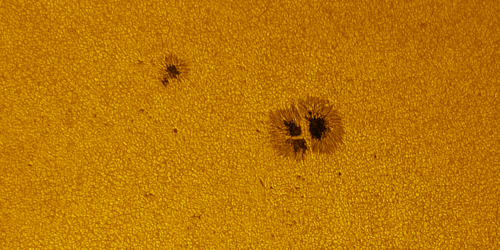 2026-08-05-0834_2-U-L-Sun_lapl3_ap3446_aligned_pipp_3_colour.gif