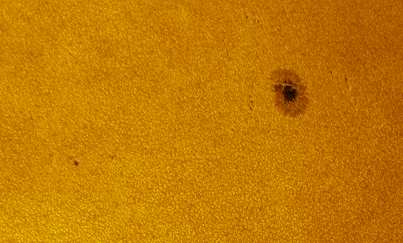 2026-09-09-0907_1-U-L-Sun_lapl3_ap3270_colour