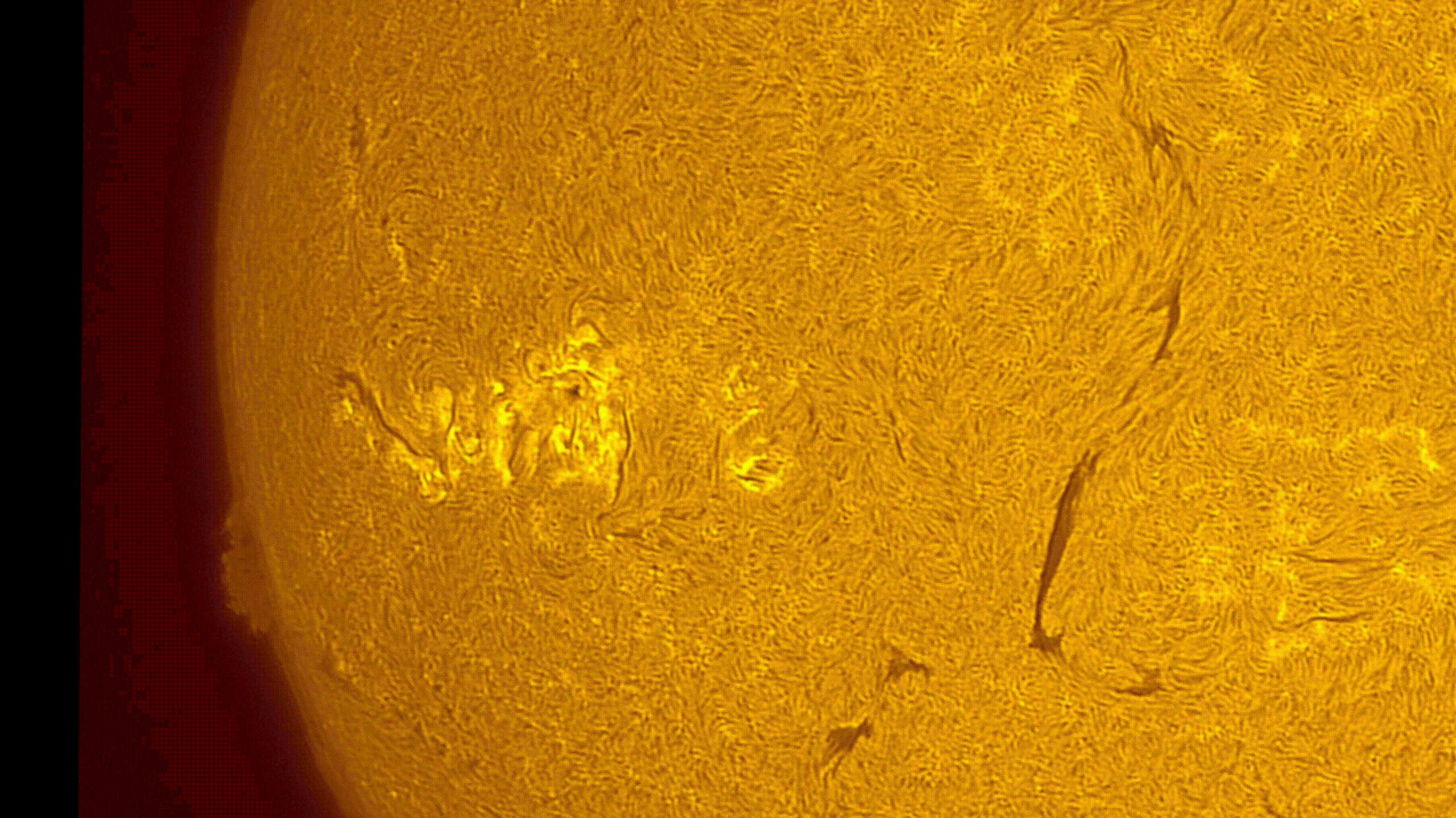 2026-08-22_AR4513