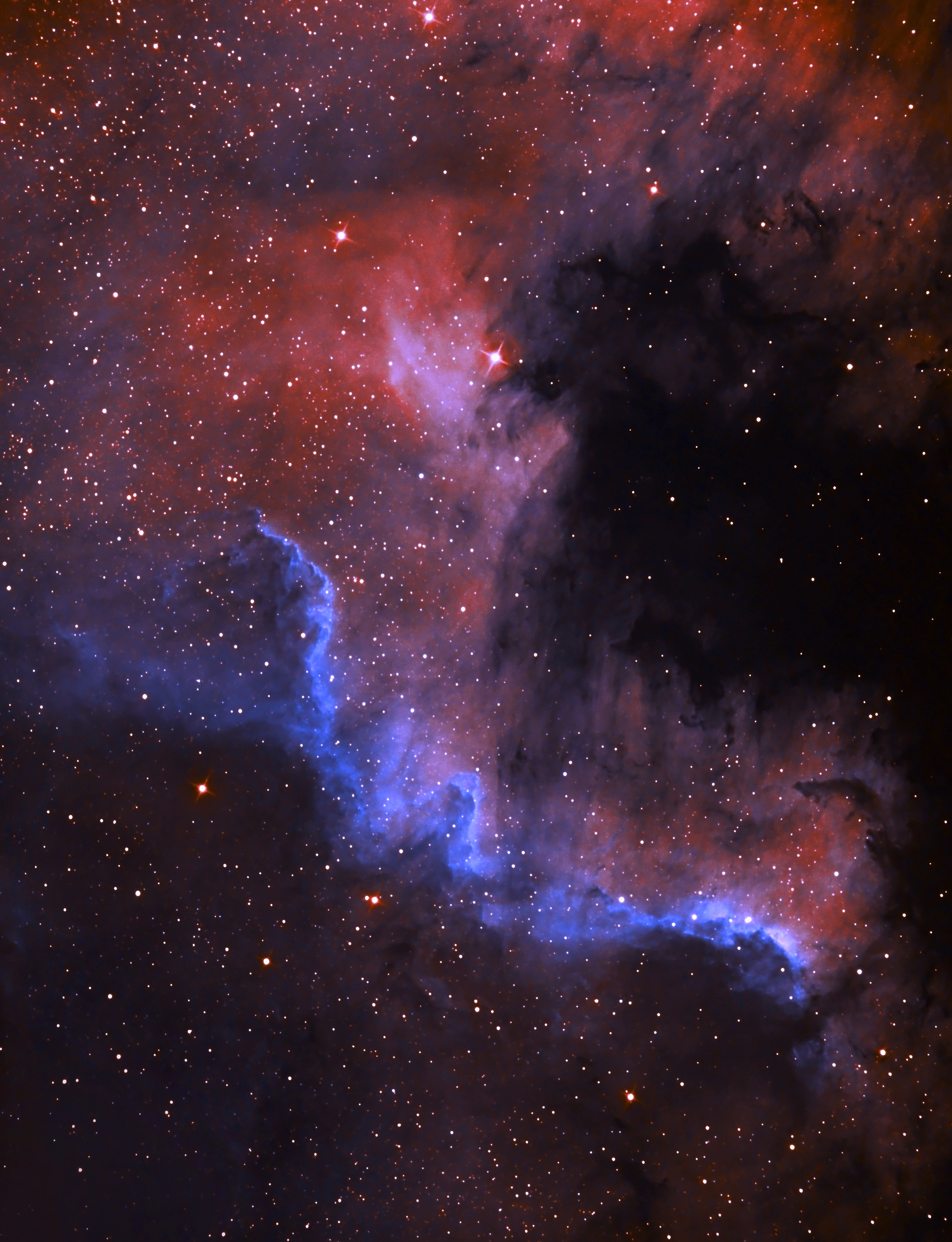 NGC 7000   