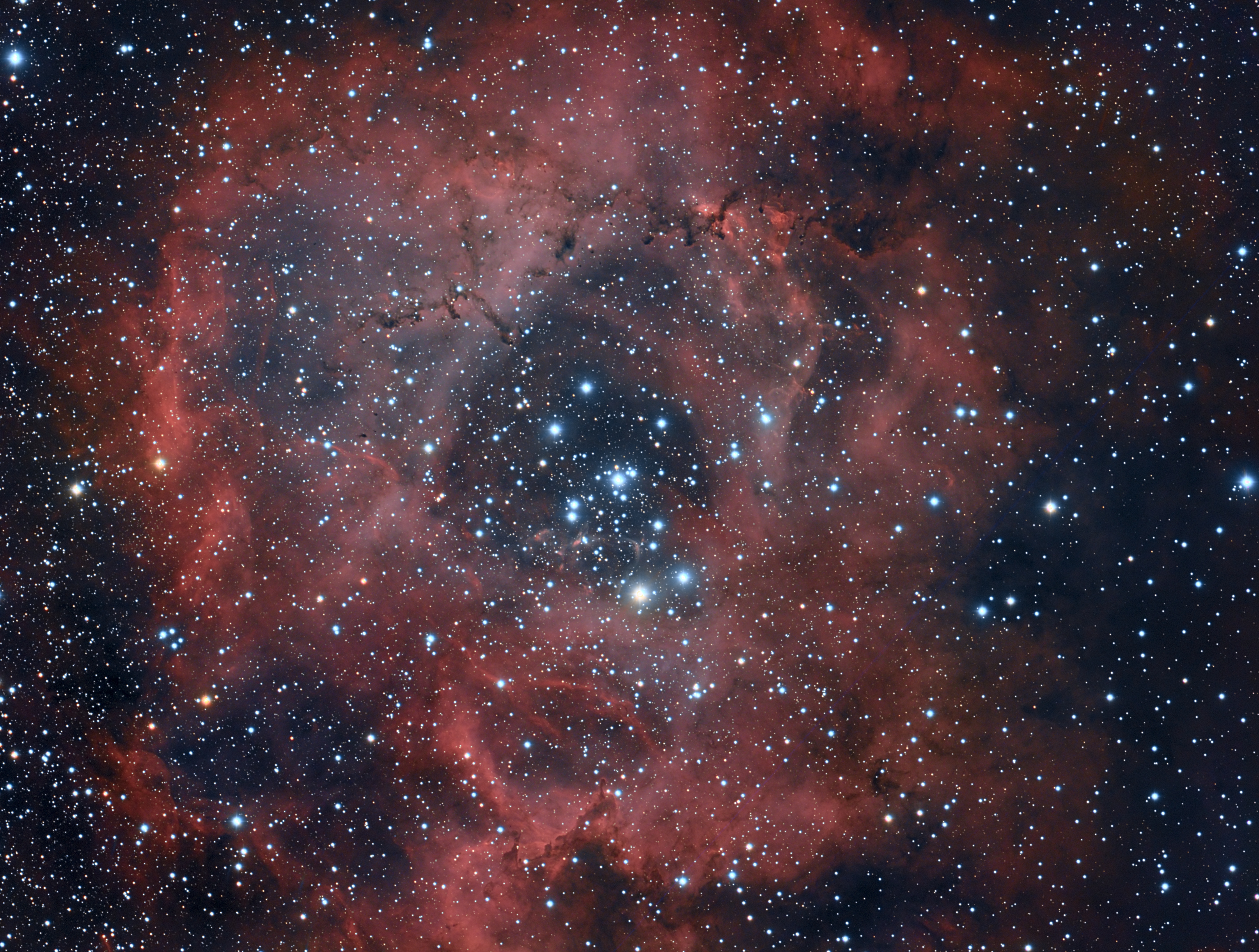 NGC 2239 Rosette