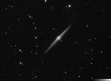 NGC 4565