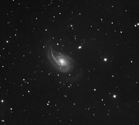 NGC 772