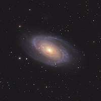 M81