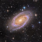 M 81