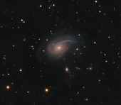 NGC 772