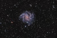 Сверхновая в галактике NGC 6946 
