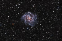 Сверхновая в галактике NGC 6946