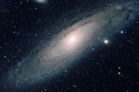 M31