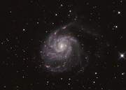 M101 ()