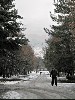 Вид на Зеркальный Телескоп Шайна