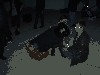 Добсон Юры Рыбака