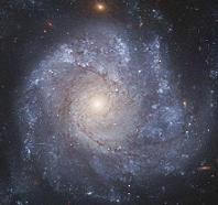 NGC 1309