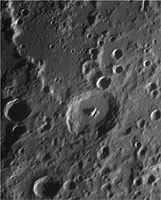 PICCOLOMINI, ROTHMAN  STIBORIUS