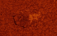 2021-11-13-1404_colour