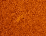 2022-02-14-1146_7-U-L-Sun_colour