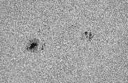 2025-09-06-0724_4-U-L-Sun_lapl5_ap2113_bw