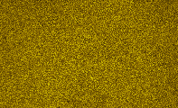 2025-09-06-0726_4-U-L-Sun_lapl5_ap2124_2_2colour.jpg